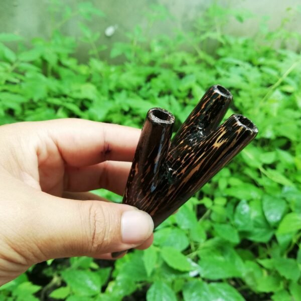 01 kuripe with two outputs, one piece, shamanic-Pona or Chonta wood, snuff applicator - Image 2