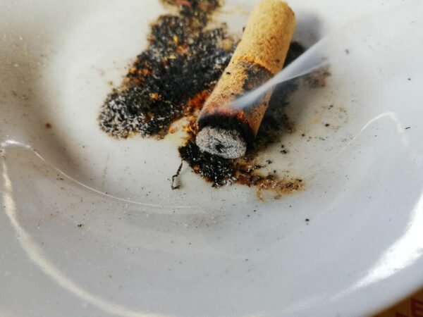 48 Units Palo Santo Wood In Form Cylinder, Incense Aromatherapy Divinity - Image 4