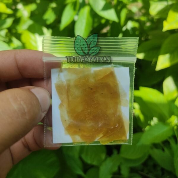 Bufo Alvarius Toad Venom For Sale