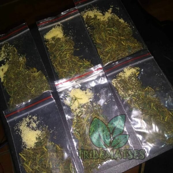 Changa Xanga Dmt 02 Grms