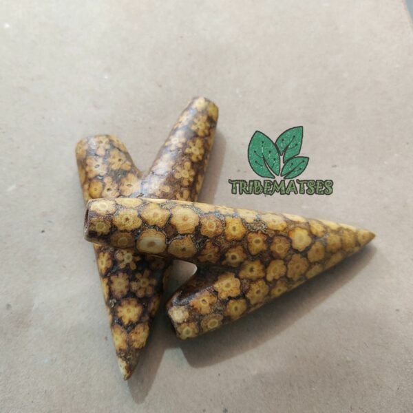 Kuripe Handmade Of Ayahuasca (With Ayahuasca Slices) Rapé Applicator Art - Image 3