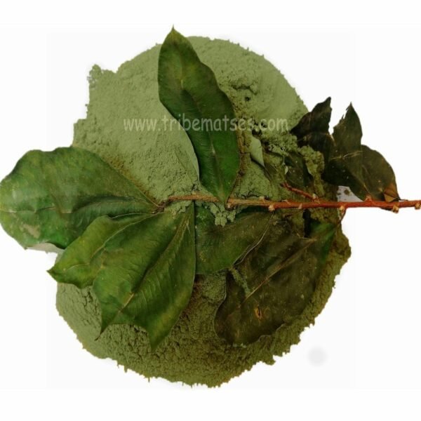 2,000 Grms-2kg Mambe Or Ypadú Coca Leaf With Cetico Ash Powder