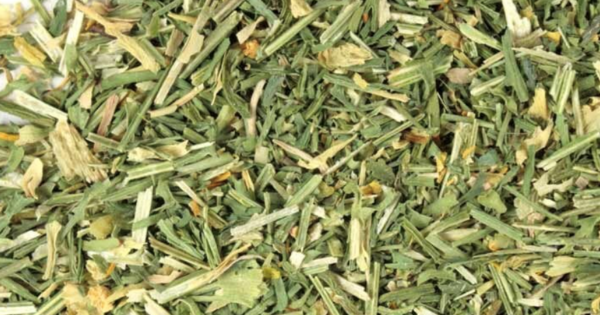 WORMWOOD (AJENJO) - Image 2