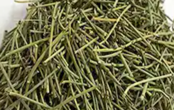 EPHEDRA - Image 2