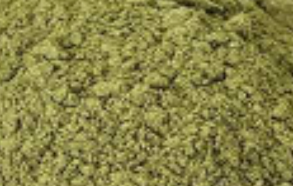 EPHEDRA - Image 3