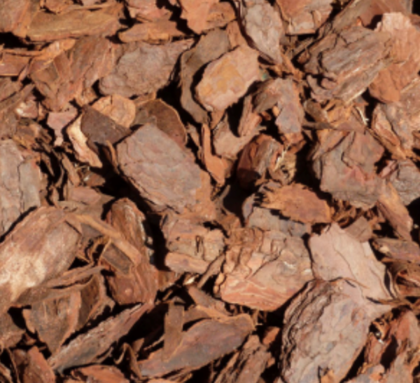 VIROLA BARK - Image 2